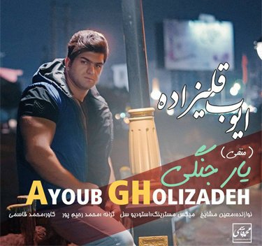 ایوب قلیزاده یار جنگی